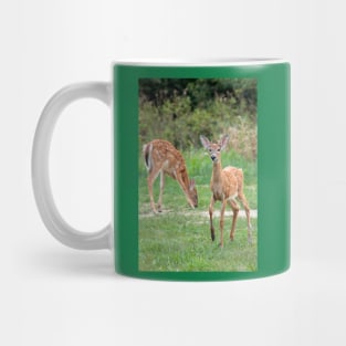 Curious Doe Mug